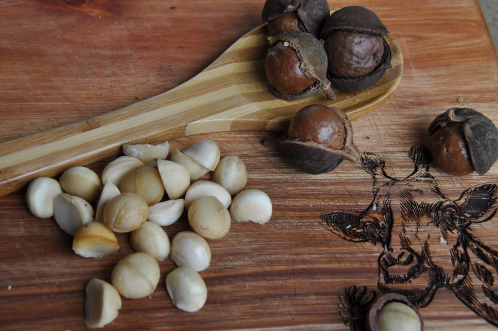Macadamia Trees on board